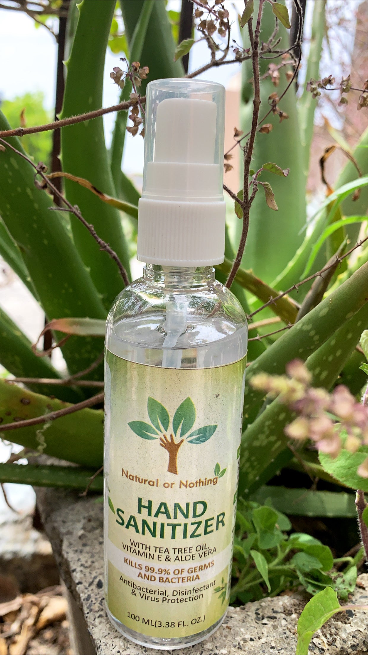 Milk Thistle Seeds for Boosting Immune System - 300 Grams (60 Servings) + 100 ML Bottle of Herbal Hand Sanitizer Free (Stay Safe)